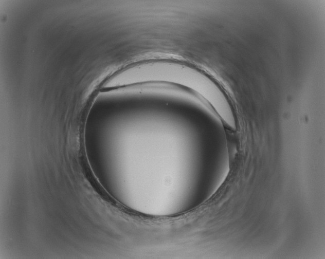 X0000065980015200603101434