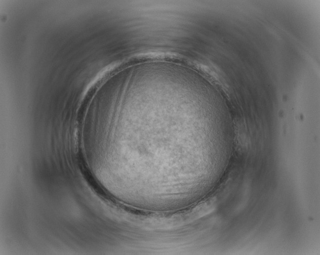 X0000065980016200603101434