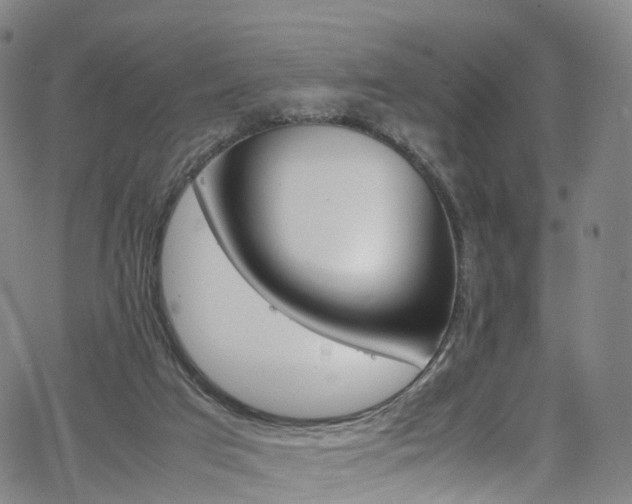 X0000065980017200603101434