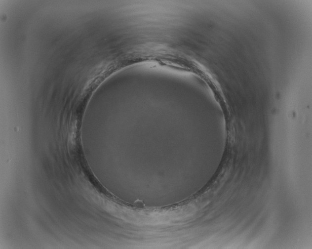 X0000065980018200603101434