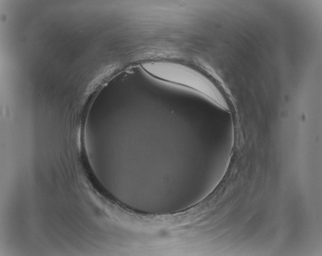 X0000065980019200603101434