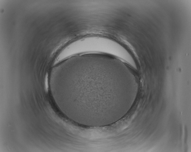 X0000065980020200603101433