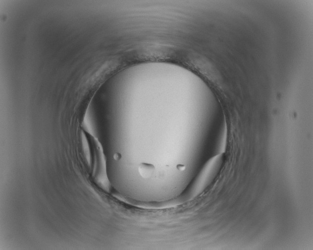 X0000065980021200603101433