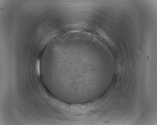 X0000065980022200603101433