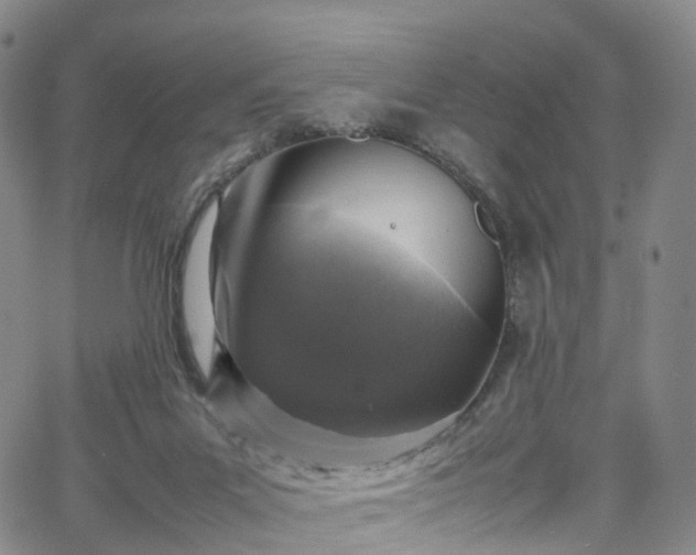 X0000065980023200603101433