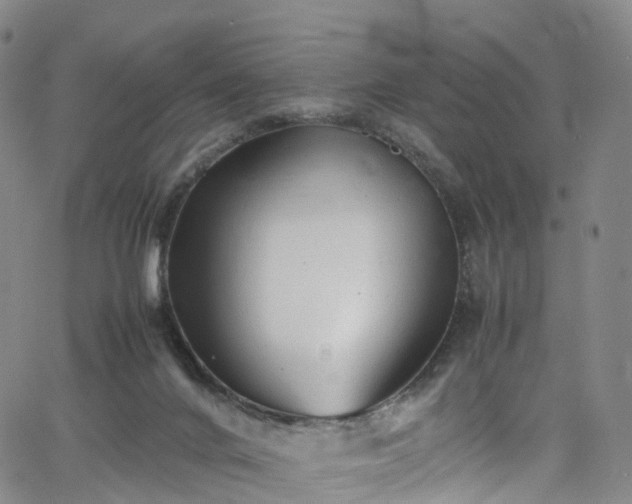 X0000065980024200603101433