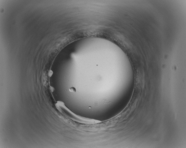 X0000065980025200603101433