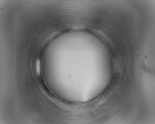 X0000065980028200603101433