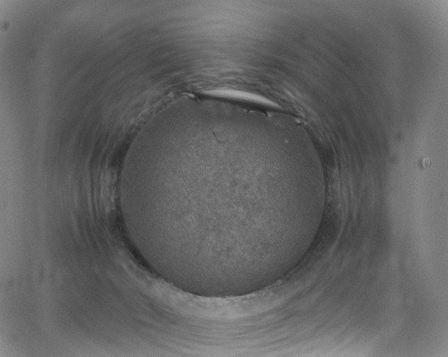 X0000065980030200603101433