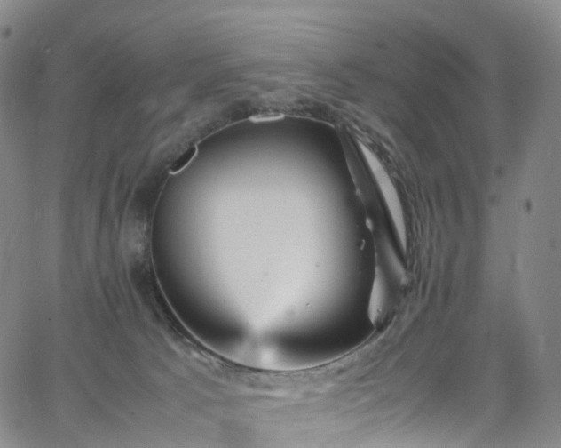 X0000065980033200603101433