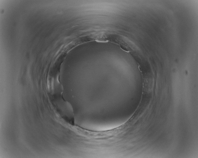 X0000065980035200603101433