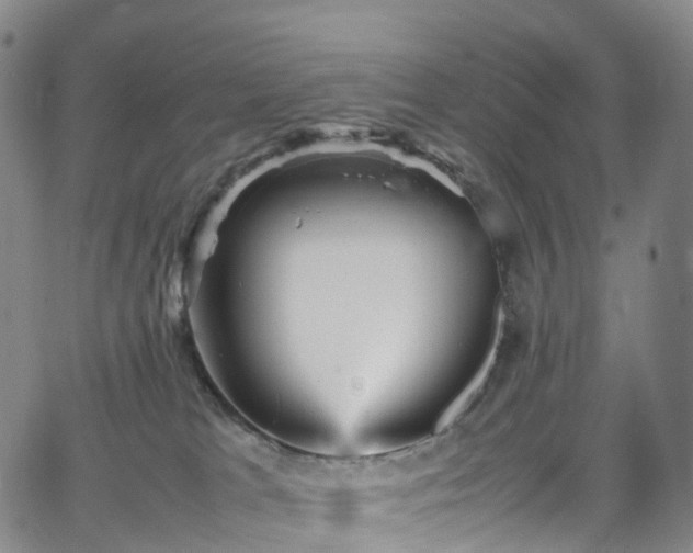 X0000065980037200603101433