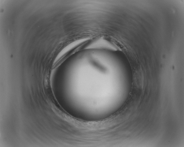 X0000065980038200603101433