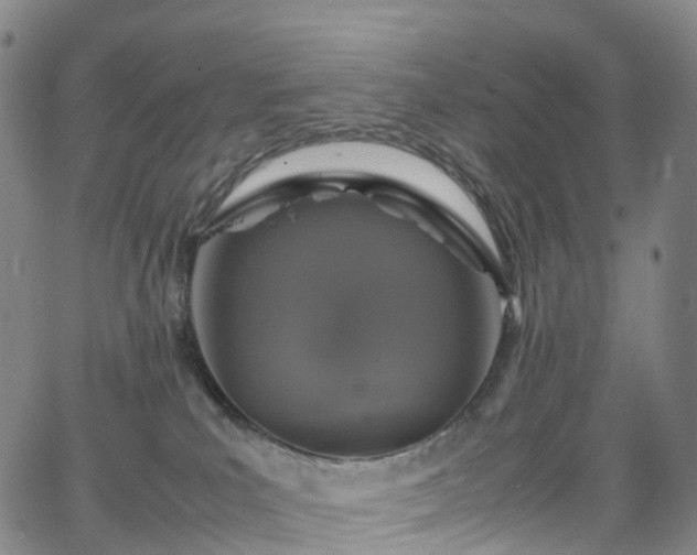 X0000065980039200603101433