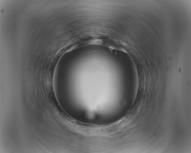 X0000065980040200603101433