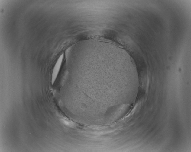 X0000065980041200603101433