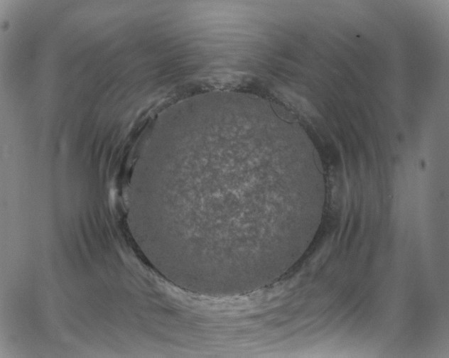 X0000065980042200603101433