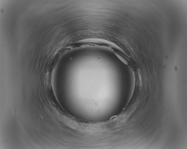 X0000065980044200603101433