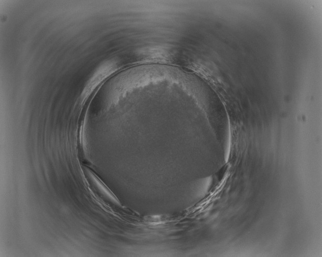 X0000065980051200603101432