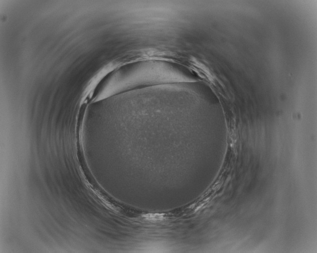 X0000065980052200603101432