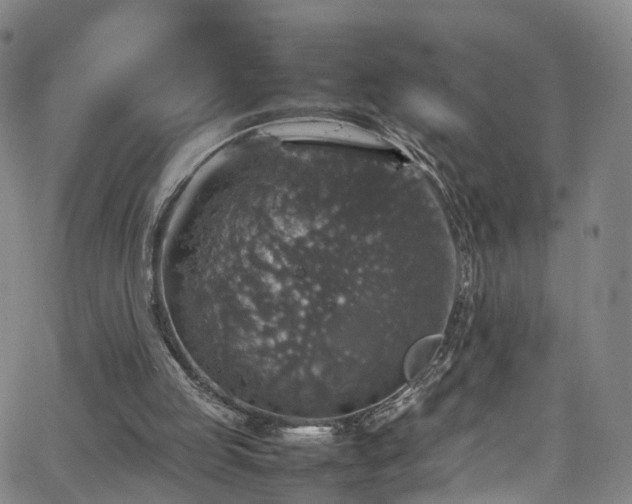 X0000065980053200603101432