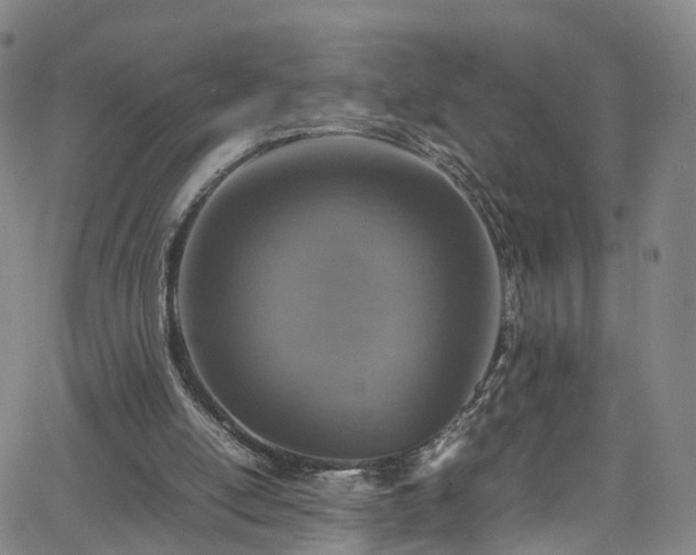 X0000065980054200603101432