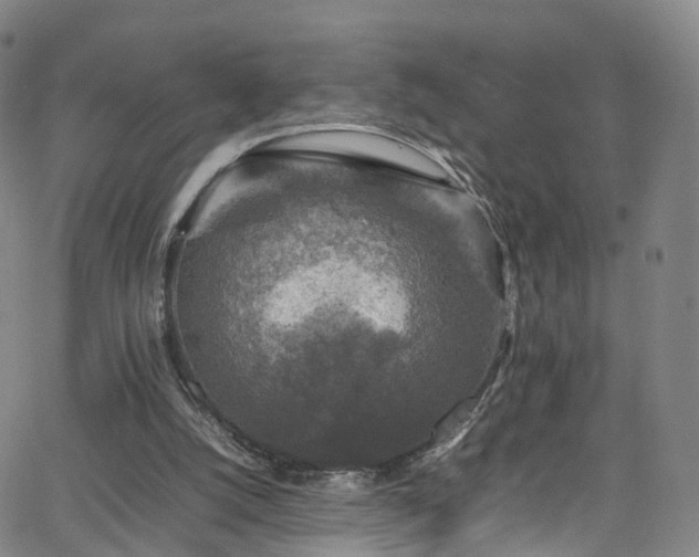 X0000065980056200603101432