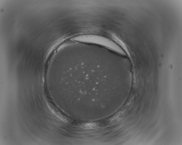 X0000065980059200603101432