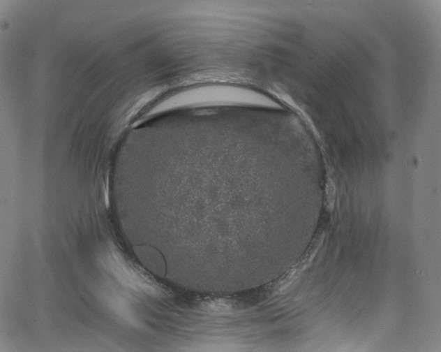 X0000065980062200603101432