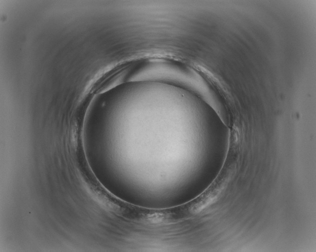 X0000065980064200603101432