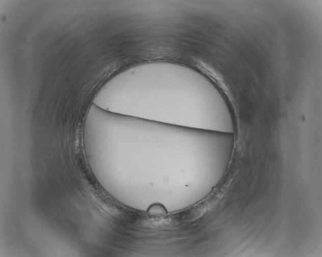 X0000065980065200603101432