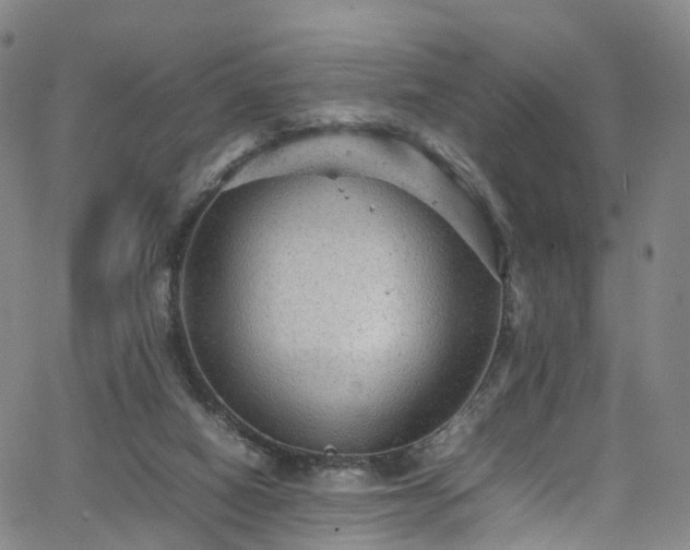 X0000065980066200603101432