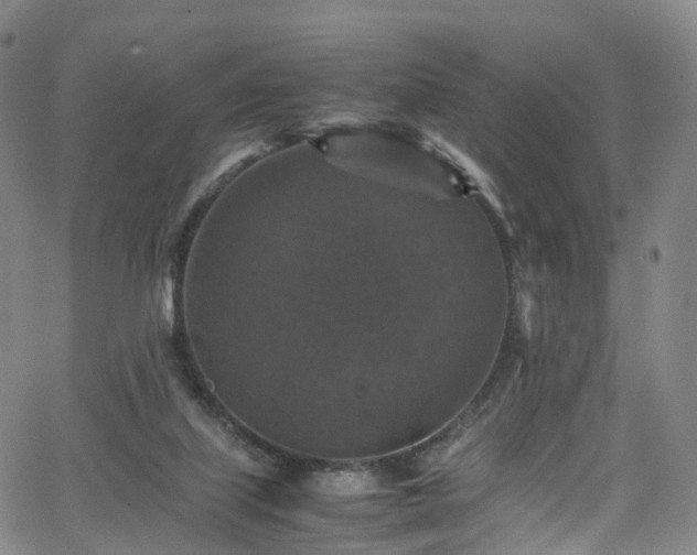 X0000065980067200603101433