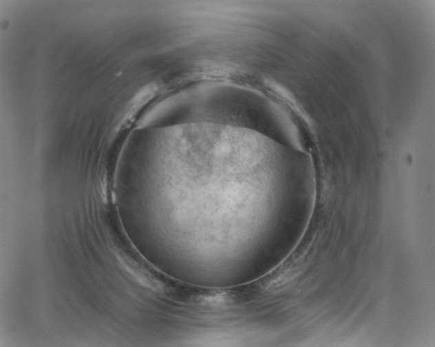 X0000065980068200603101433