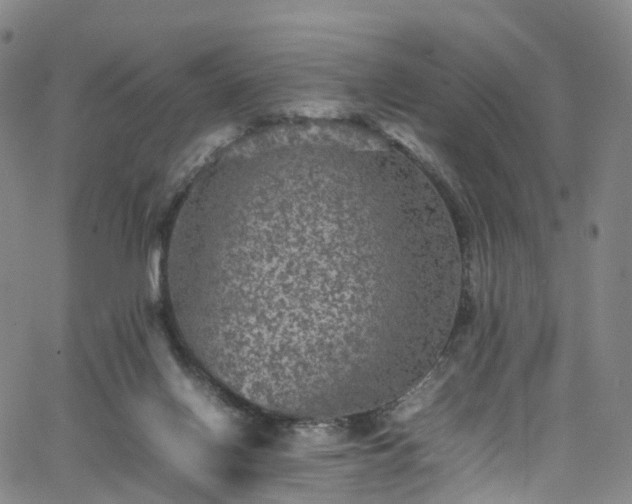 X0000065980070200603101433