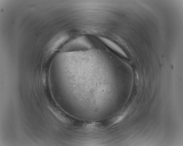 X0000065980072200603101433