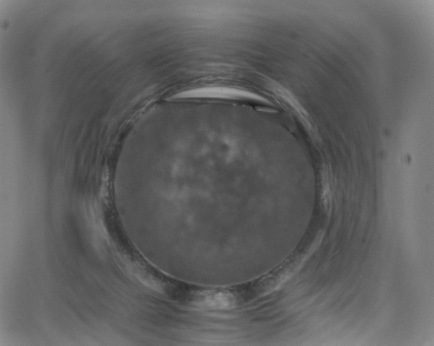 X0000065980073200603101433