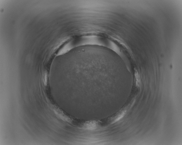 X0000065980076200603101433