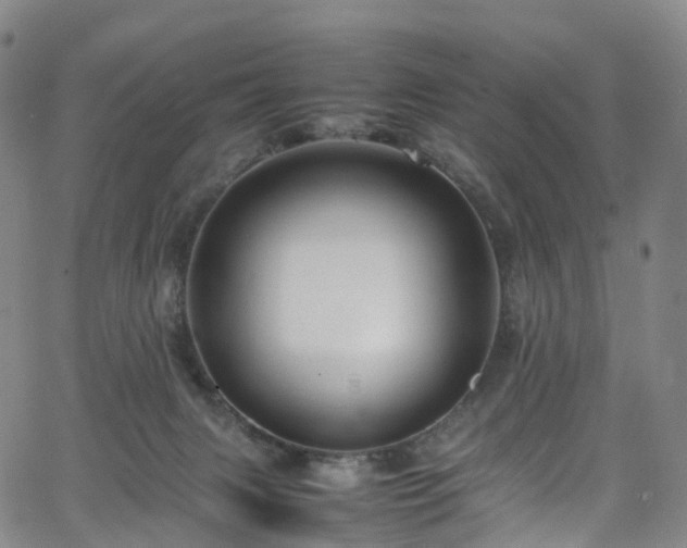 X0000065980079200603101433