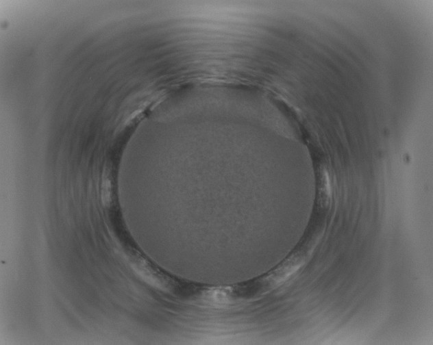 X0000065980080200603101433