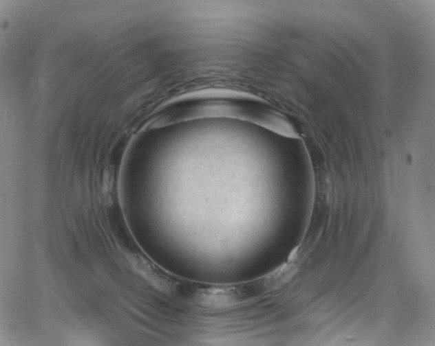 X0000065980082200603101433