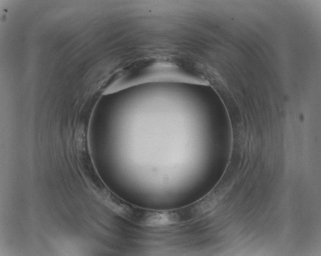 X0000065980083200603101433