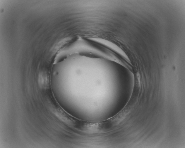 X0000065980084200603101433