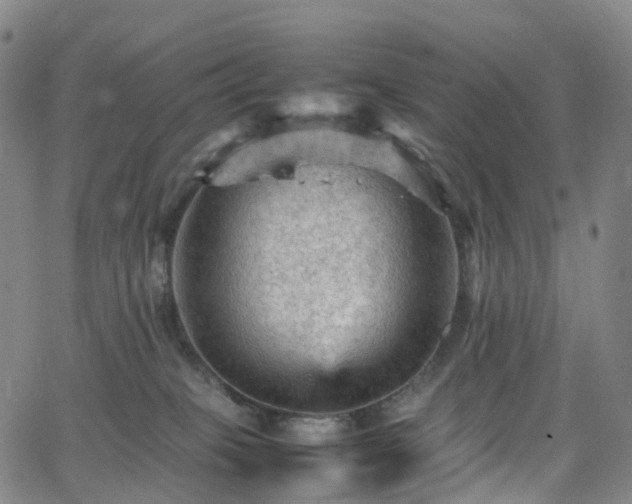 X0000065980085200603101433