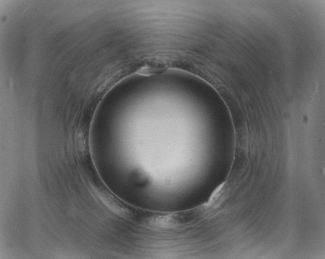 X0000065980086200603101433