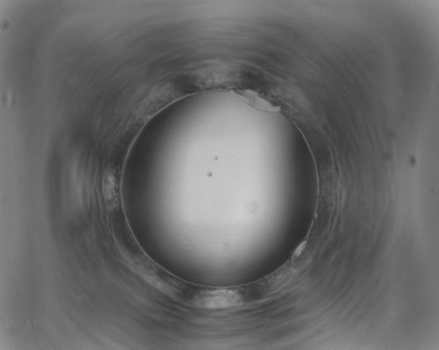 X0000065980087200603101433