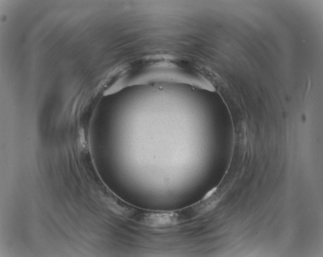 X0000065980089200603101433