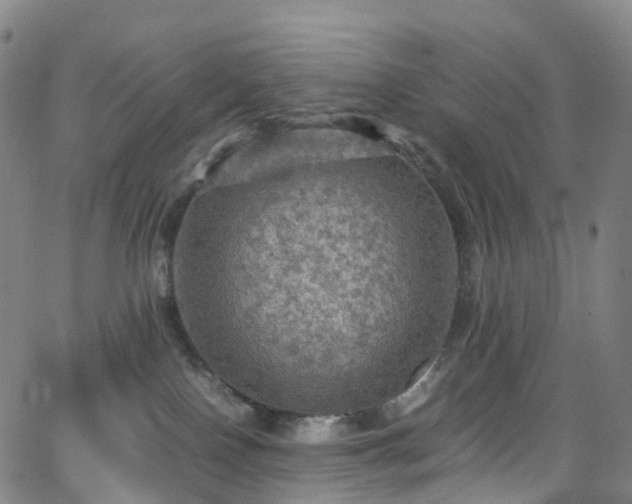 X0000065980090200603101433