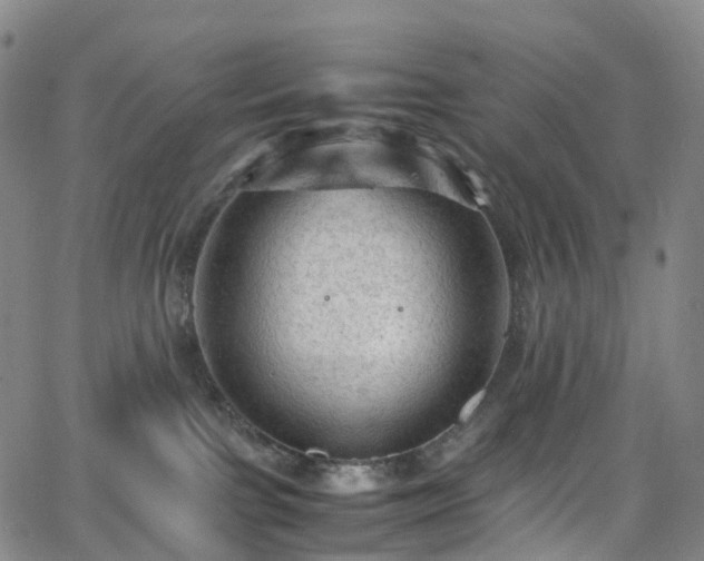 X0000065980091200603101433