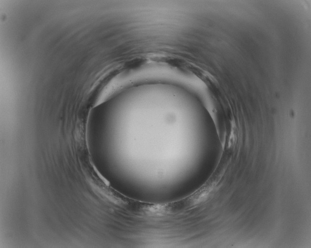 X0000065980092200603101433